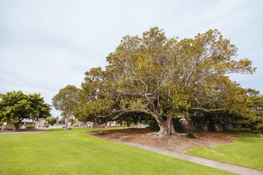 PORT ELLIOT, AUSTRALIA - 14 Nisan 2023: Fleurieu Yarımadası, Güney Avustralya, Avustralya 'da fırtınalı bir sonbahar gününde tarihi Port Elliot' un ikonik mimarisi