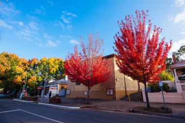 Hahndorf, Güney Avustralya - 12 Nisan 2023: Avustralya 'nın güneyindeki Adelaide Hills bölgesinde ikonik Alman kasabası Hahndorf' un ana cadde manzarası