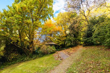 George Tindale Memorial Gardens Melbourne, Victoria, Avustralya 'daki Dandenongs bölgesinde güneşli bir sonbahar gününde