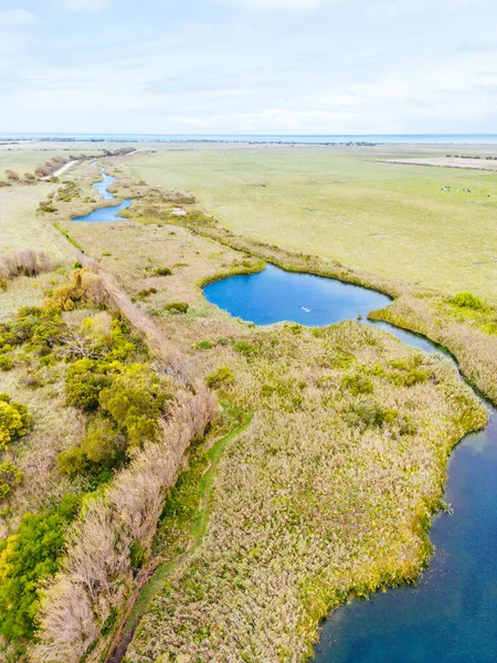 Güney Avustralya, Avustralya 'da güneşli bir sonbahar gününde Ewens Ponds Koruma Parkı