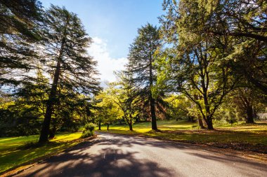 Maroondah Reservoir Park Victoria, Avustralya 'da güneşli bir sonbahar gününde.