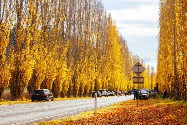 Iconic Gould Memorial Drive Autumn Colours Buxton Marysville Country Town — Stock Photo, Image
