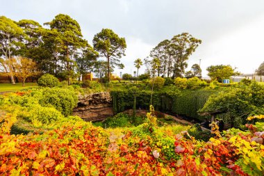 Güney Avustralya, Avustralya 'daki Gambier Dağı' ndaki ikonik ve popüler Umpherston Mağarası.