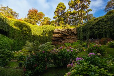 Güney Avustralya, Avustralya 'daki Gambier Dağı' ndaki ikonik ve popüler Umpherston Mağarası.