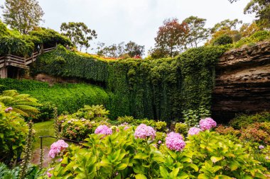 Güney Avustralya, Avustralya 'daki Gambier Dağı' ndaki ikonik ve popüler Umpherston Mağarası.
