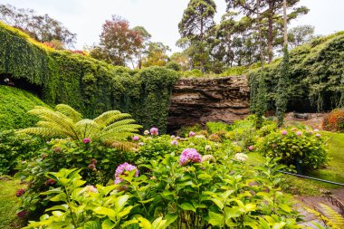 Güney Avustralya, Avustralya 'daki Gambier Dağı' ndaki ikonik ve popüler Umpherston Mağarası.