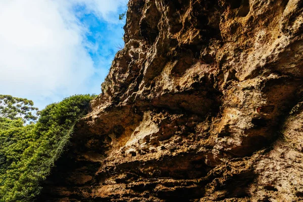 Εμβληματικό Και Δημοφιλές Σπήλαιο Umpherston Sinkhole Στο Όρος Gambier Στη — Φωτογραφία Αρχείου