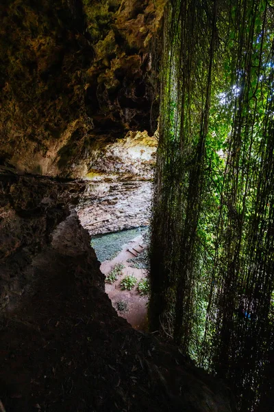Εμβληματικό Και Δημοφιλές Σπήλαιο Umpherston Sinkhole Στο Όρος Gambier Στη — Φωτογραφία Αρχείου