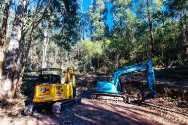 KINGLAKE, AUSTRALIA - 14 Mayıs 2023: Kinglake Ulusal Parkı 'ndaki Masons Şelalesi yakınlarındaki Mount Sugarloaf Ridge Pisti üzerindeki Dünya kaldırma araçları Melbourne, Victoria, Avustralya' da serin bir sonbahar gününde