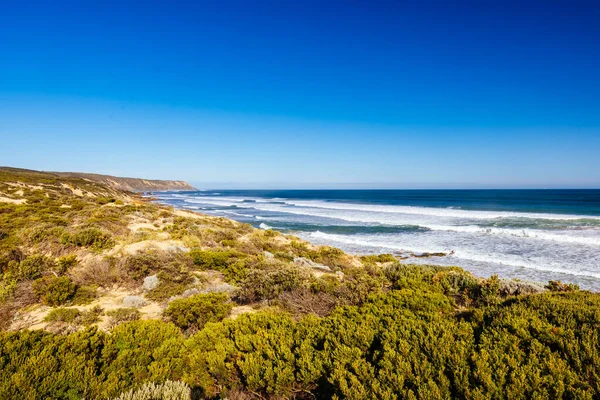 作为莫宁顿半岛海岸漫步的一部分 在澳大利亚维多利亚州圣安德鲁斯海滩和芬加尔海滩之间的一个温暖的冬季 — 图库照片