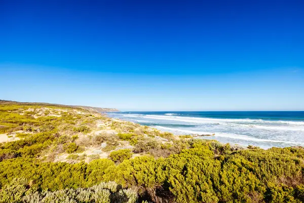 作为莫宁顿半岛海岸漫步的一部分 在澳大利亚维多利亚州圣安德鲁斯海滩和芬加尔海滩之间的一个温暖的冬季 — 图库照片
