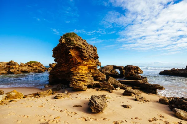 Fingal Beach Als Teil Der Küstenwanderung Auf Der Mornington Peninsula — Stockfoto