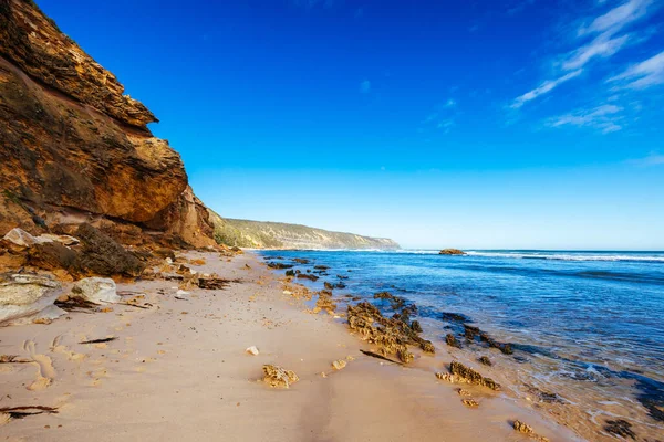 Fingal Beach Como Parte Caminhada Costeira Península Mornington Dia Quente — Fotografia de Stock