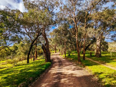 Avustralya 'nın kırsal kesiminde Kinglake' de Arthurs Creek, Victoria, Avustralya yakınlarında.