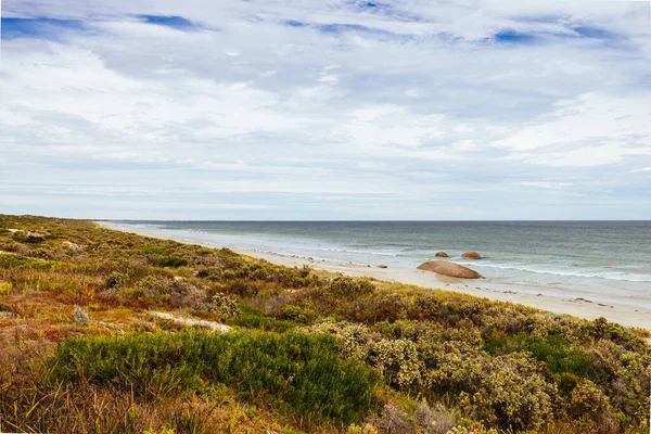 澳大利亚Robe 2023年4月11日 澳大利亚南澳大利亚金斯敦东南附近石灰岩海岸的标志性花岗岩岩层 — 图库照片