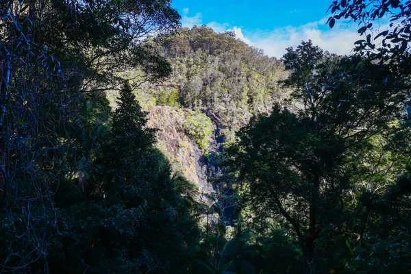 Tor Wodospadów Kondalilla Przy Wodospadzie Kondalilla Parku Narodowym Kondalilla Ciepły — Zdjęcie stockowe