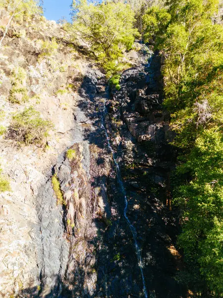 Kondalilla Falls Parque Nacional Kondalilla Dia Quente Inverno Ensolarado Perto — Fotografia de Stock