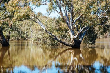 Victoria, Avustralya 'da Heathcote yakınlarında güneşli bir günde OKeefe Demiryolu ve McIvor Hwy Gölü manzarası