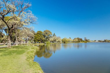 Kuzey Bendigo, Victoria, Avustralya 'da sıcak bir bahar akşamında Weeroona Gölü' nün popüler eğlence mekanı.