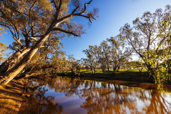 澳大利亚维多利亚州阿克塞尔市附近 春日阳光明媚的下午 坎帕斯河畔的河流景观 — 图库照片