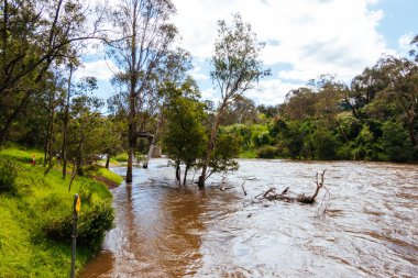 MELBOURNE, AUSTRALIA - 08 Ekim 2023 'te Warrandyte, Victoria, Avustralya' da meydana gelen bahar fırtınaları sonrasında Yarra Nehri Warrandyte River Reserve 'deki kıyılarını yıktı.