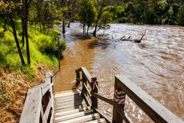 MELBOURNE, AUSTRALIA - 08 Ekim 2023 'te Warrandyte, Victoria, Avustralya' da meydana gelen bahar fırtınaları sonrasında Yarra Nehri Warrandyte River Reserve 'deki kıyılarını yıktı.