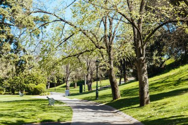 Meşhur Rosalind Bahçeleri Bendigo, Victoria, Avustralya 'da ılık bir bahar sabahı