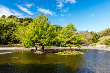 Wilson Botanik Parkı Berwick Berwick, Berwick Melbourne, Victoria, Avustralya