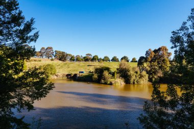 Wilson Botanik Parkı Berwick Berwick, Berwick Melbourne, Victoria, Avustralya
