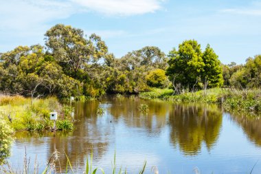 Somers 'ta Coolart Bataklıkları ve Çiftliği Mornington Yarımadası' nda sıcak bir bahar günü, Victoria, Avustralya