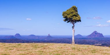 Glass House Dağları Ulusal Parkı boyunca Mountain View Rd 'deki One Tree Hill Gözcüleri' nden Maleny, Queensland, Avustralya yakınlarında güneşli bir günde bir manzara.