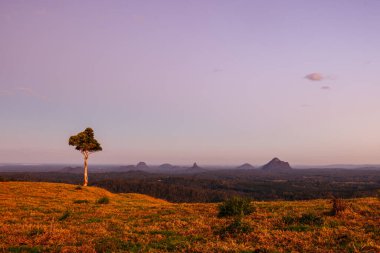 Glass House Dağları Ulusal Parkı boyunca Mountain View Rd 'deki One Tree Hill Gözcüleri' nden Maleny, Queensland, Avustralya yakınlarında güneşli bir günde bir manzara.
