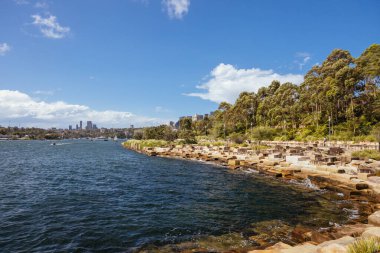 SYDNEY, AUSTRALYA - 03 ARALIK 2023 Sydney 'nin Barangaroo Reserve bölgesi Sydney, New South Wales, Avustralya.