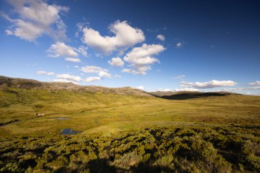 Öğleden sonra Kosciuszko Ulusal Parkı, Yeni Güney Galler, Avustralya 'daki Dead Horse Gap ve Thredo yakınlarındaki Cascade Hut Trail' de manzara.