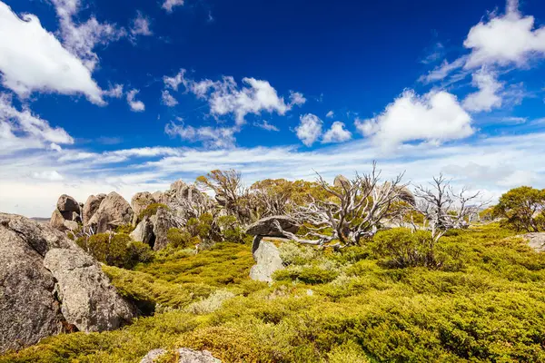 stock image Landscape views at the summit of Porcupine Rocks on the Porcupine Walking Track on a summers day in Kosciuszko National Park, Snowy Mountains, New South Wales, Australia