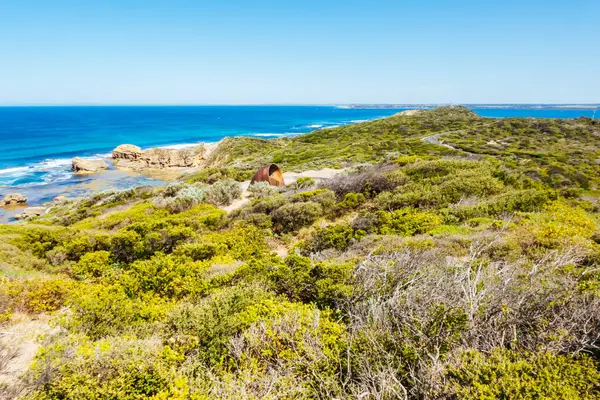 Nepean Noktası 'nda Cheviot Hill ve Victoria, Avustralya' da sıcak bir yaz gününde