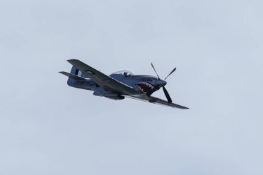 RAAF P51 Mustang VH-SVU A68-750 Avustralya 'nın Geelong kentinde 26 Ocak 2024 günü bir gösteri yapıyor.
