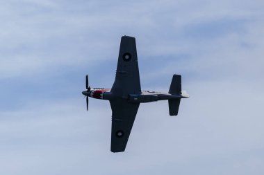 RAAF P51 Mustang VH-SVU A68-750 Avustralya 'nın Geelong kentinde 26 Ocak 2024 günü bir gösteri yapıyor.