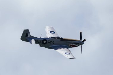 RAAF P51 Mustang VH-SVU A68-750 Avustralya 'nın Geelong kentinde 26 Ocak 2024 günü bir gösteri yapıyor.