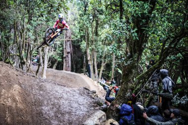 MAYDENA, AUSTRALYA - 23 Şubat 2024 tarihinde Kızıl Boğa Hardline Tazmanya 'da tohumlama sırasında sürücüler.