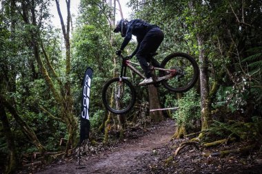 MAYDENA, AUSTRALYA - 23 Şubat 2024 tarihinde Kızıl Boğa Tazmanya 'da tohumlama sırasında Fransız Vincent Tupin, Maydena, Avustralya' da.