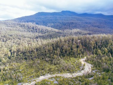 DOVER, AUSTRALYA - 23 Şubat: Ormancılık Tazmanya bir Dünya Mirası Bölgesi olan Dover yakınlarındaki Güneybatı Ulusal Parkı 'nın kütüklenmesine devam ediyor. Bu bölge, büyümekte olan eski ormanlara ve kritik ormanın yuvasıdır.