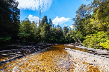 STYX VALLEY, AUSTRALIA - FEBRUARY 20 2024: Landscape of the Styx River area of the Styx Valley near Maydena in Southwest National Park, Tasmania, Australia clipart