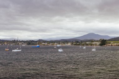 DOVER AUSTRALYA - 25 Şubat 2024: Huon Vadisi, Tazmanya, Avustralya 'daki Güney Yarımadası' ndaki tuhaf Dover kasabası ve Esperance limanının manzarası