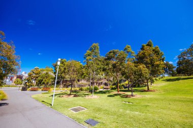 SYDNEY, AUSTRALIA - 03 Aralık 2023: The Barangaroo Reserve area and Stargazer Lawn near The Rocks, New South Wales, Avustralya.
