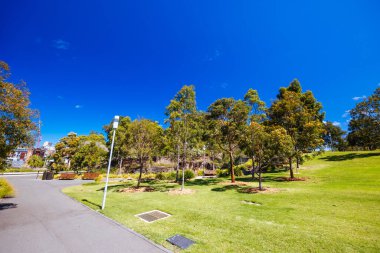 SYDNEY, AUSTRALIA - DECEMBER 03, 2023: The Barangaroo Reserve area and Stargazer Lawn near The Rocks in Sydney, New South Wales, Australia. clipart