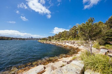 SYDNEY, AUSTRALYA - 03 ARALIK 2023 Sydney 'nin Barangaroo Reserve bölgesi Sydney, New South Wales, Avustralya.