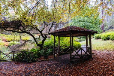 A late autumn afternoon in Dandenong Ranges Botanic Garden in Olinda, Victoria Australia clipart