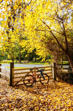 Landscape long the popular Lilydale to Warburton Rail Trail on a cool autumn day in Victoria, Australia clipart