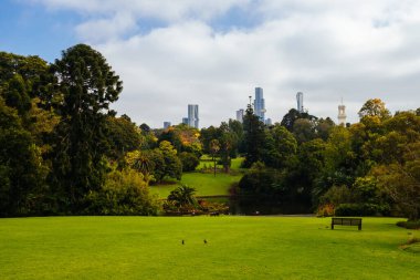 Victoria Kraliyet Botanik Bahçeleri Melbourne, Victoria, Avustralya 'da serin bir sonbahar sabahı